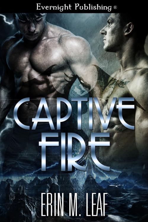 Cover of the book Captive Fire by Erin M. Leaf, Evernight Publishing