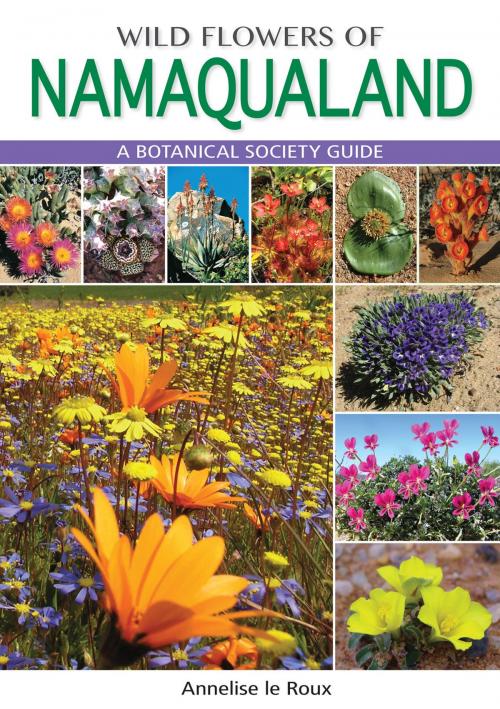Cover of the book Wild Flowers of Namaqualand by Annelise le Roux, Penguin Random House South Africa
