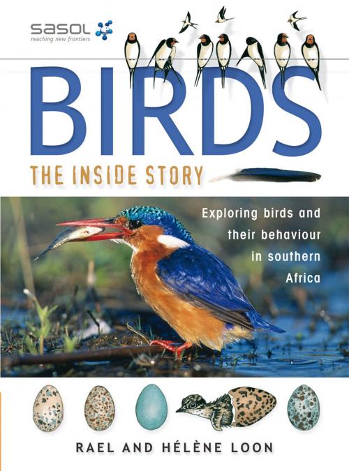 Cover of the book Birds – The Inside Story by Rael Loon, Penguin Random House South Africa