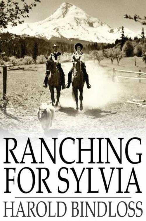 Cover of the book Ranching for Sylvia by Harold Bindloss, The Floating Press
