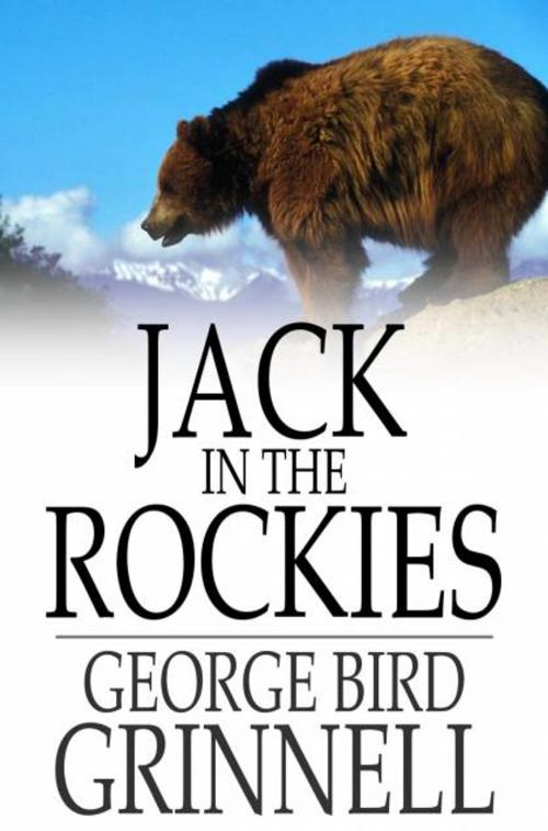 Cover of the book Jack in the Rockies by George Bird Grinnell, The Floating Press