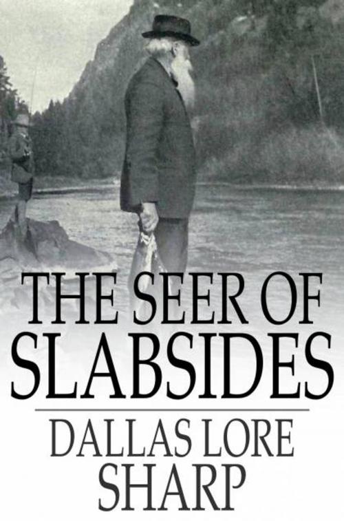 Cover of the book The Seer of Slabsides by Dallas Lore Sharp, The Floating Press