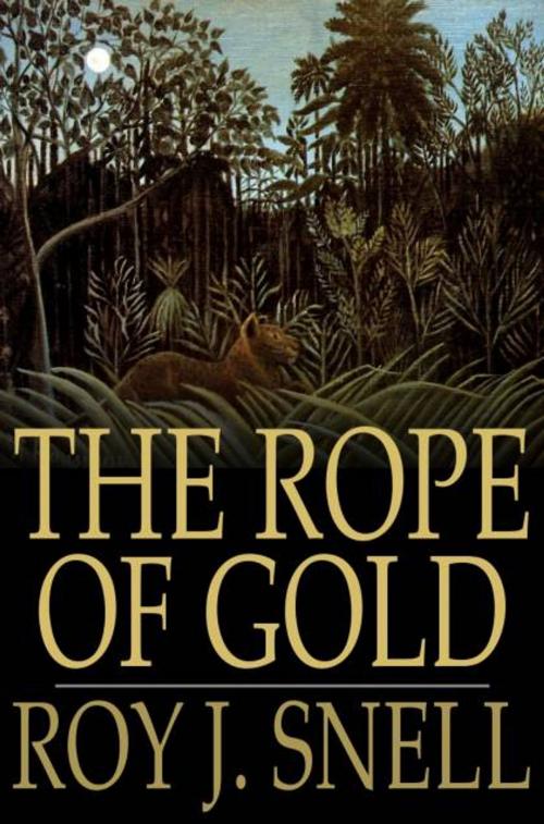 Cover of the book The Rope of Gold by Roy J. Snell, The Floating Press