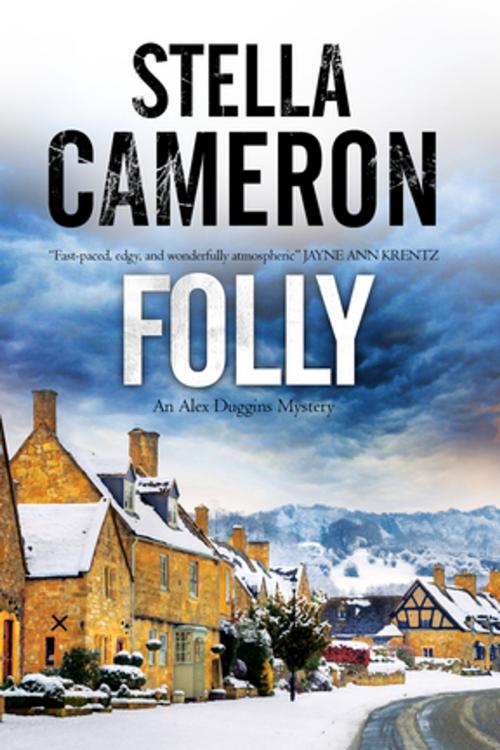 Cover of the book Folly by Stella Cameron, Severn House Publishers