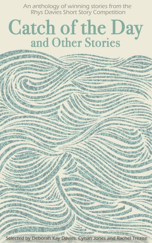 Cover of the book Catch of the Day by Literature Wales, Accent Press