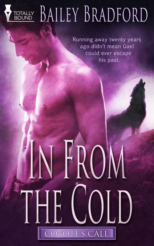 Cover of the book In from the Cold by Bailey Bradford, Totally Entwined Group Ltd