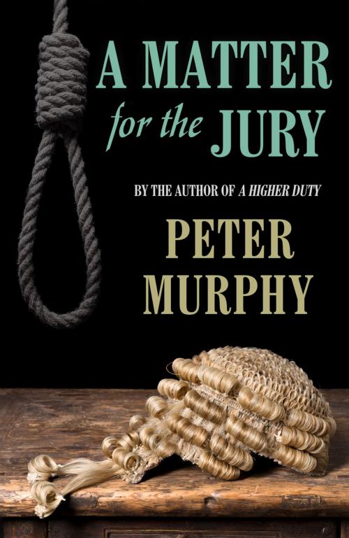 Cover of the book A Matter for the Jury by Peter Murphy, Oldcastle Books