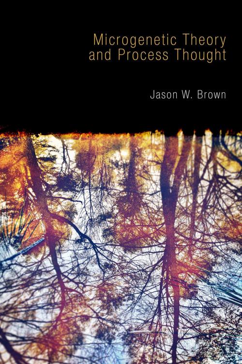 Cover of the book Microgenetic Theory and Process Thought by Jason W. Brown, Andrews UK