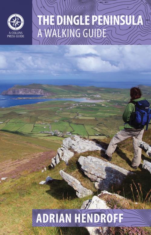 Cover of the book The Dingle Peninsula by Adrian Hendroff, Gill Books