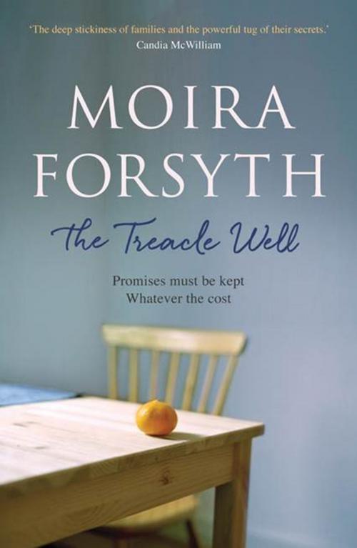 Cover of the book The Treacle Well by Moira Forsyth, Sandstone Press Ltd