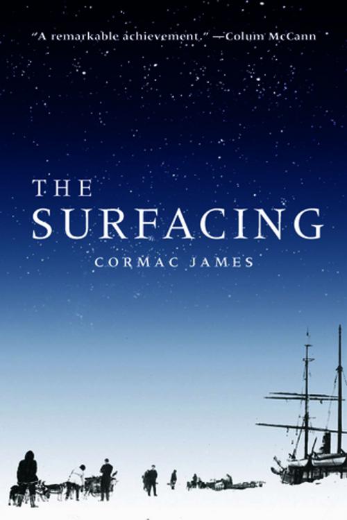 Cover of the book The Surfacing by Cormac James, Bellevue Literary Press