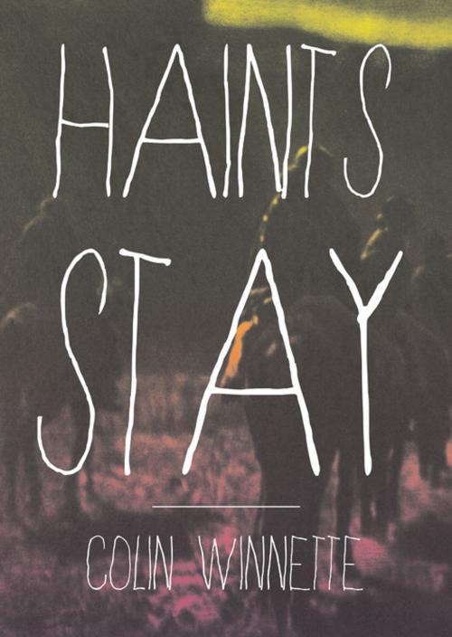 Cover of the book Haints Stay by Colin Winnette, Two Dollar Radio