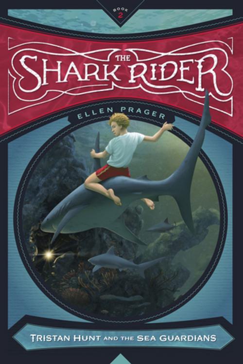 Cover of the book The Shark Rider by Ellen Prager, Mighty Media, Inc.