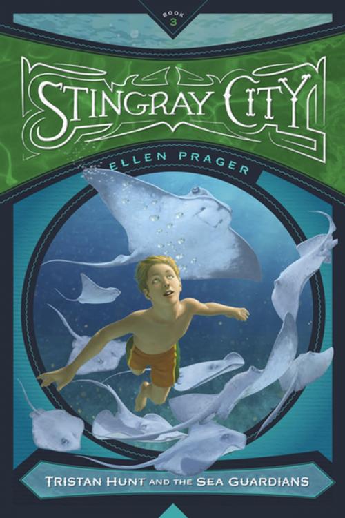 Cover of the book Stingray City by Ellen Prager, Mighty Media, Inc.