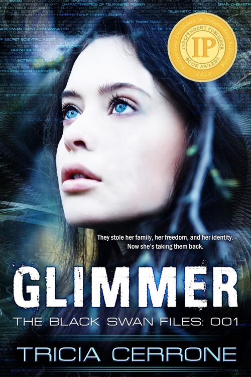 Cover of the book Glimmer by Tricia Cerrone, Stone Media, Inc.