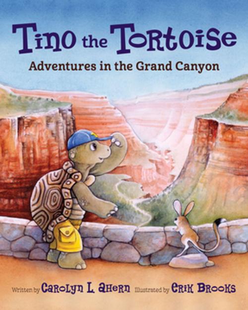 Cover of the book Tino the Tortoise by Carolyn L. Ahern, West Margin Press