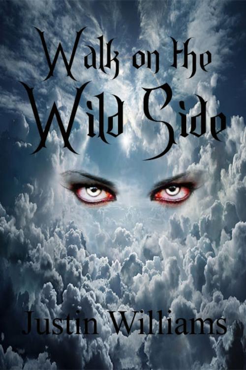 Cover of the book Walk on the Wild Side by Justin Williams, TJT Designs and Publications