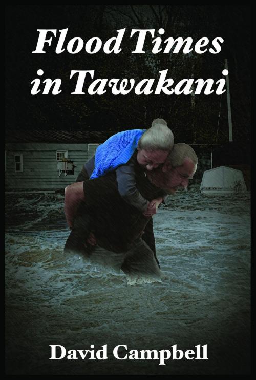Cover of the book Flood Times In Tawakani by David Campbell, Green Ivy