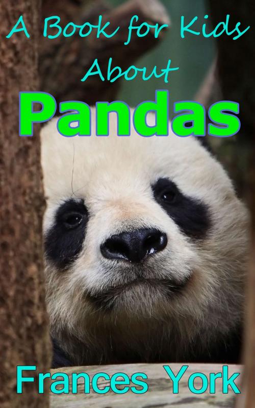 Cover of the book A Book For Kids About Pandas: The Giant Panda Bear by Frances York, Revelry Publishing