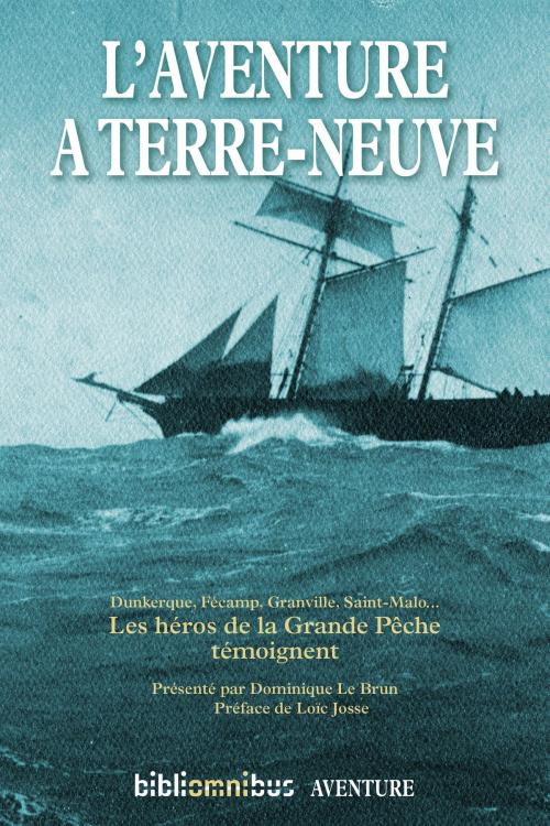 Cover of the book L'aventure à Terre-Neuve by Dominique LE BRUN, Loïc JOSSE, Place des éditeurs
