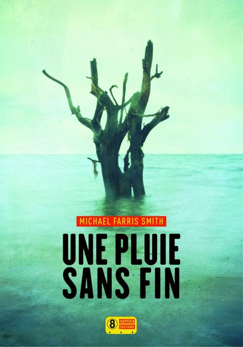 Cover of the book Une pluie sans fin by Michael FARRIS SMITH, Sonatine