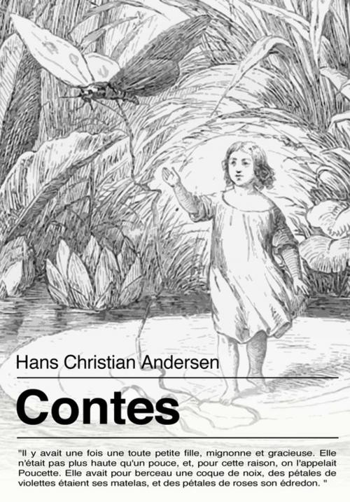 Cover of the book Les contes d'Andersen by Christian Andersen Hans, Les éditions Pulsio