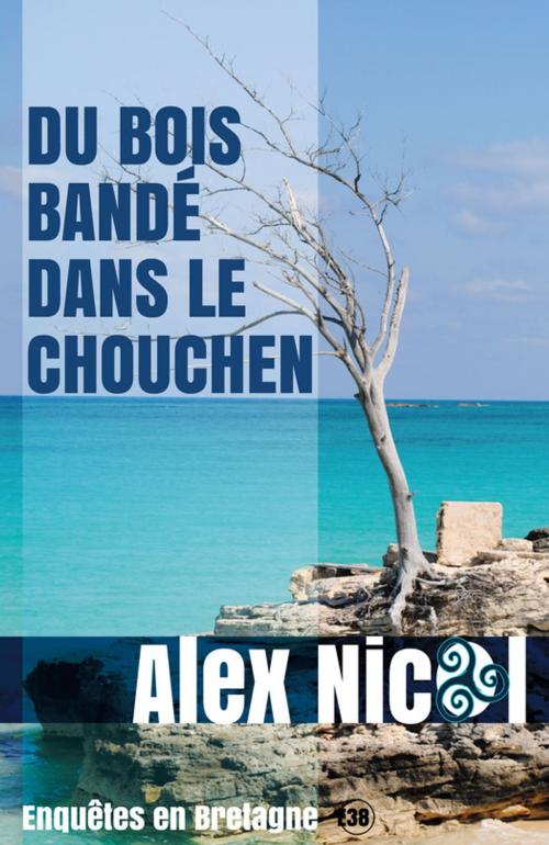 Cover of the book Du bois bandé dans le chouchen by Alex Nicol, Les éditions du 38