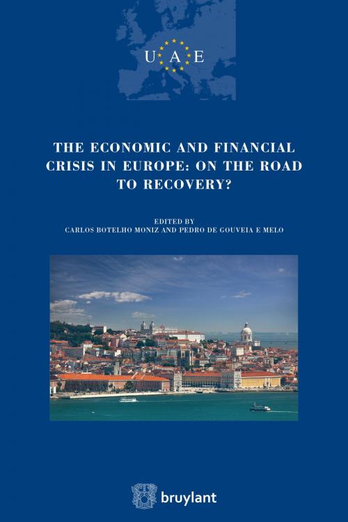 Cover of the book The Economic and Financial crisis in Europe : on the road to recovery by , Bruylant