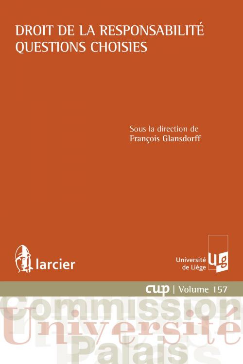 Cover of the book Droit de la responsabilité - Questions choisies by , Éditions Larcier