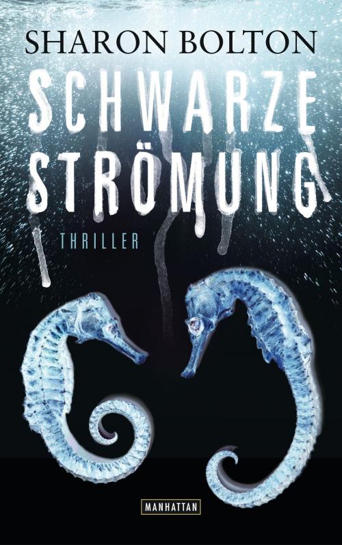 Cover of the book Schwarze Strömung - Lacey Flint 4 by Sharon Bolton, Manhattan