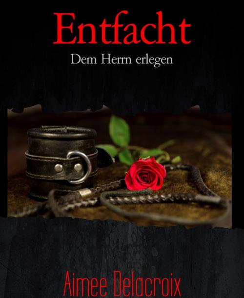 Cover of the book Entfacht by Aimee Delacroix, BookRix