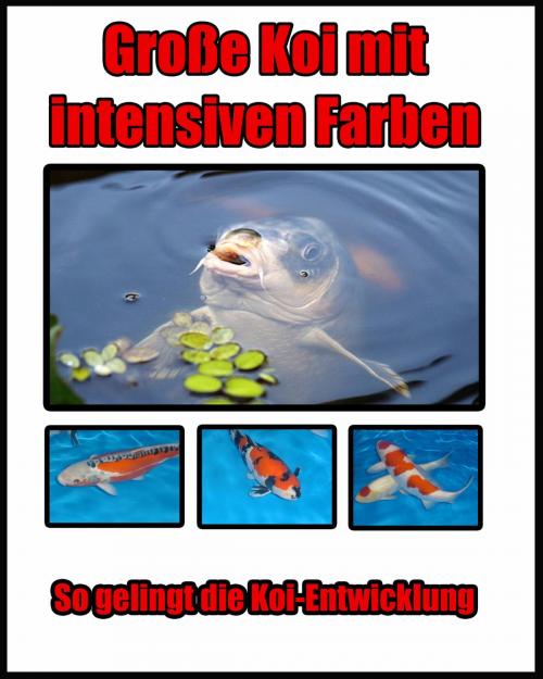 Cover of the book Große Koi mit intensiven Farben by Eric Wicker, neobooks