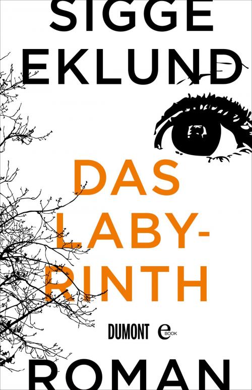 Cover of the book Das Labyrinth by Sigge Eklund, DuMont Buchverlag