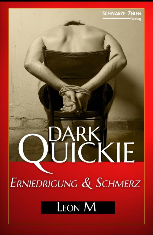 Cover of the book Erniedrigung und Schmerz by Leon M., Schwarze-Zeilen Verlag