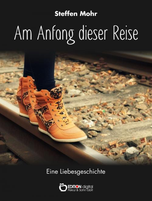 Cover of the book Am Anfang dieser Reise by Steffen Mohr, EDITION digital