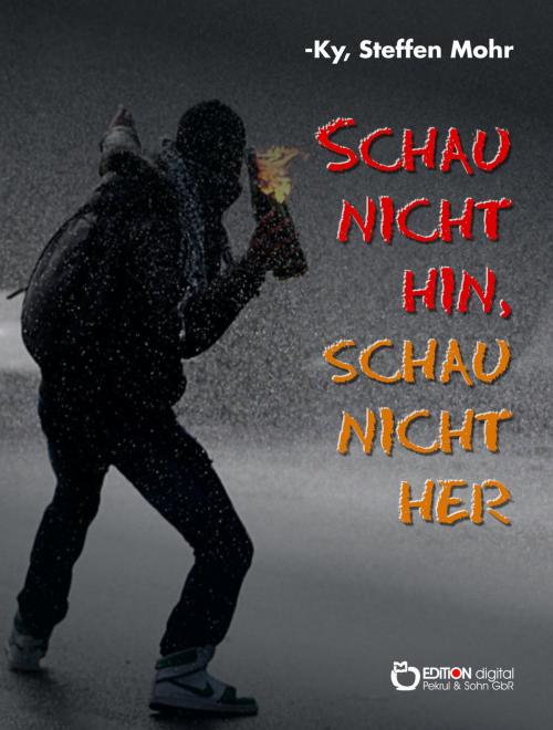 Cover of the book Schau nicht hin, schau nicht her by Steffen Mohr, -ky, EDITION digital