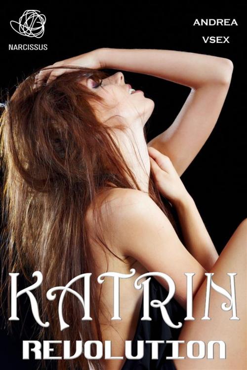 Cover of the book Katrin Revolution by Andrea Vsex, Andrea Vsex