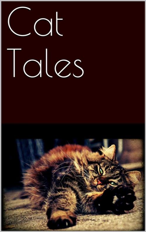 Cover of the book Cat Tales by AA. VV., AA. VV.