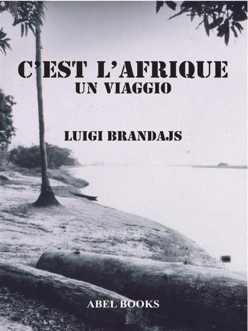 Cover of the book C'est L'Afrique by Luigi Brandajs, Abel Books