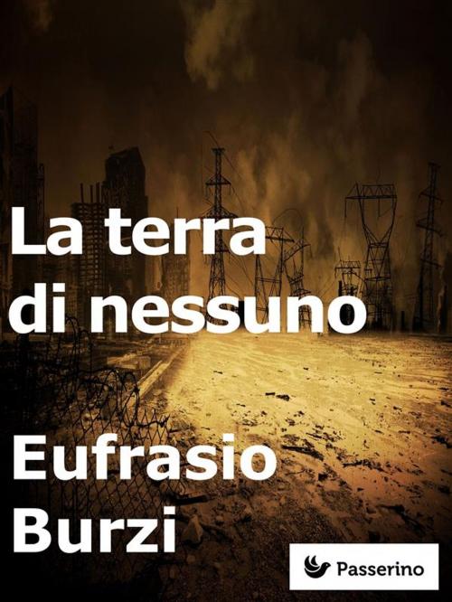 Cover of the book La terra di nessuno by Eufrasio Burzi, Passerino Editore