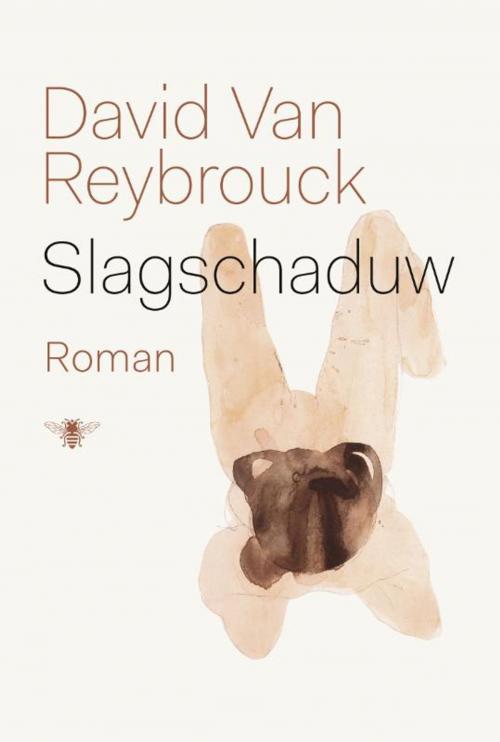 Cover of the book Slagschaduw by David van Reybrouck, Bezige Bij b.v., Uitgeverij De