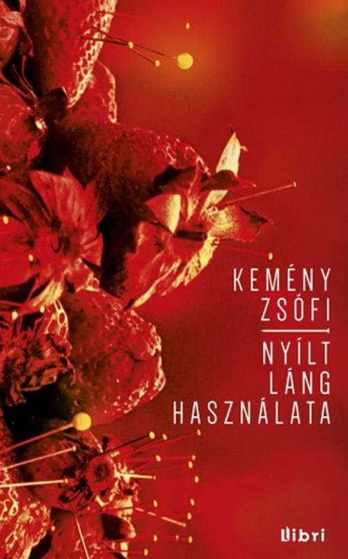 Cover of the book Nyílt láng használata by Kemény Zsófi, Kemény Zsófi, Libri Kiadó