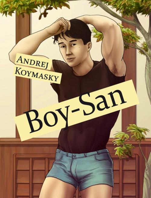 Cover of the book Boy-San by Andrej Koymasky, Éditions Textes Gais