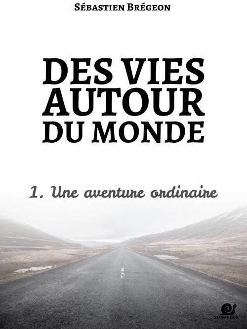 Cover of the book Des vies autour du monde 1 by Sébastien Brégeon, Sébastien Brégeon