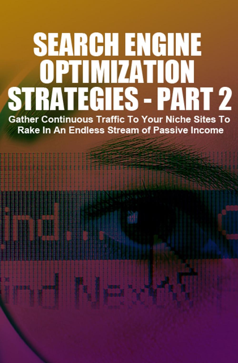 Big bigCover of Search Engine Optimization Strategies