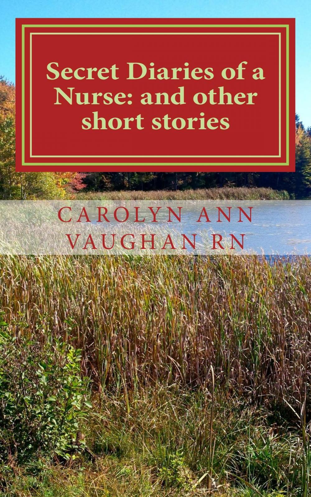 Big bigCover of Secret Diaries of a Nurse: and other stories