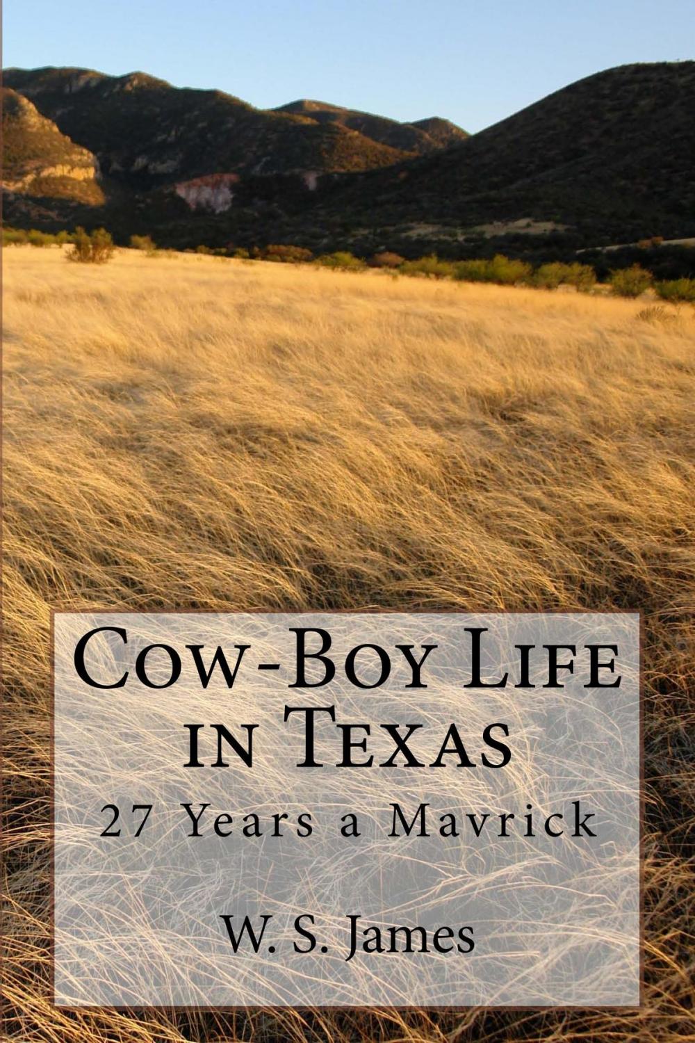 Big bigCover of Cow-Boy Life in Texas (Illustrated Edition)