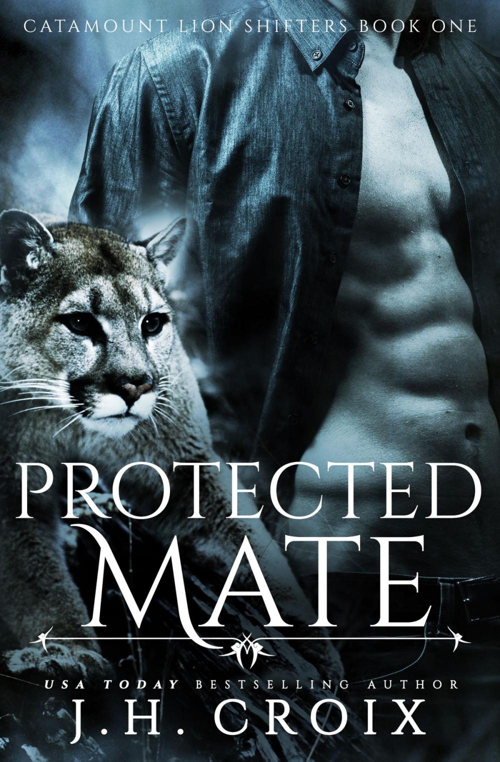 Big bigCover of Protected Mate