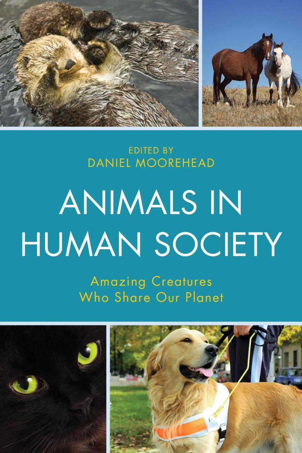 Big bigCover of Animals In Human Society