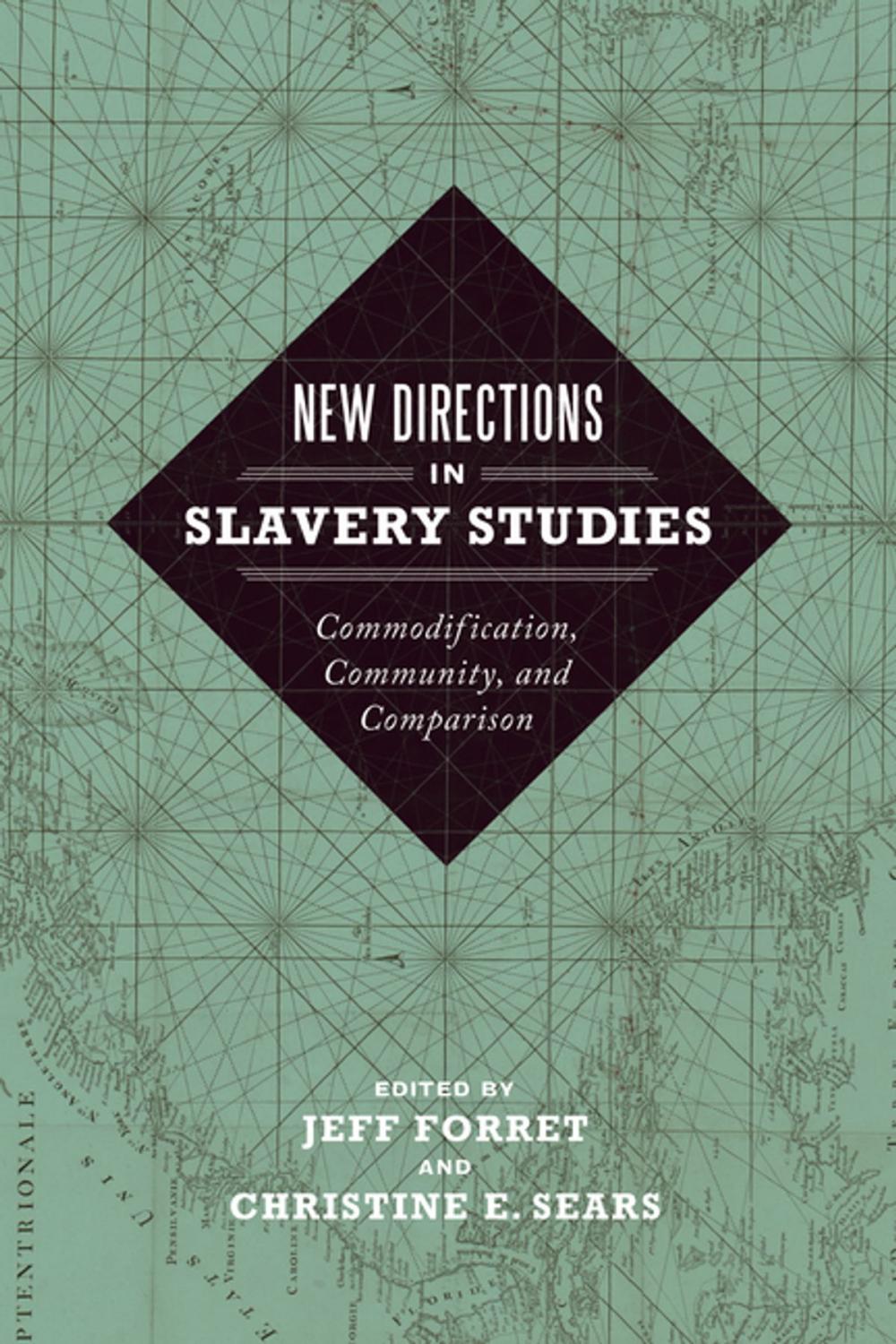 Big bigCover of New Directions in Slavery Studies